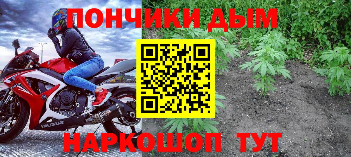 Бошки марихуана LSD WEED  Вход с VPN  Конопля конопля  Каннабис VHQ  Канабис сатива  Грозный 