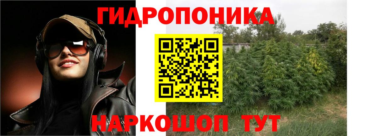 Шишки марихуана индика Грозный